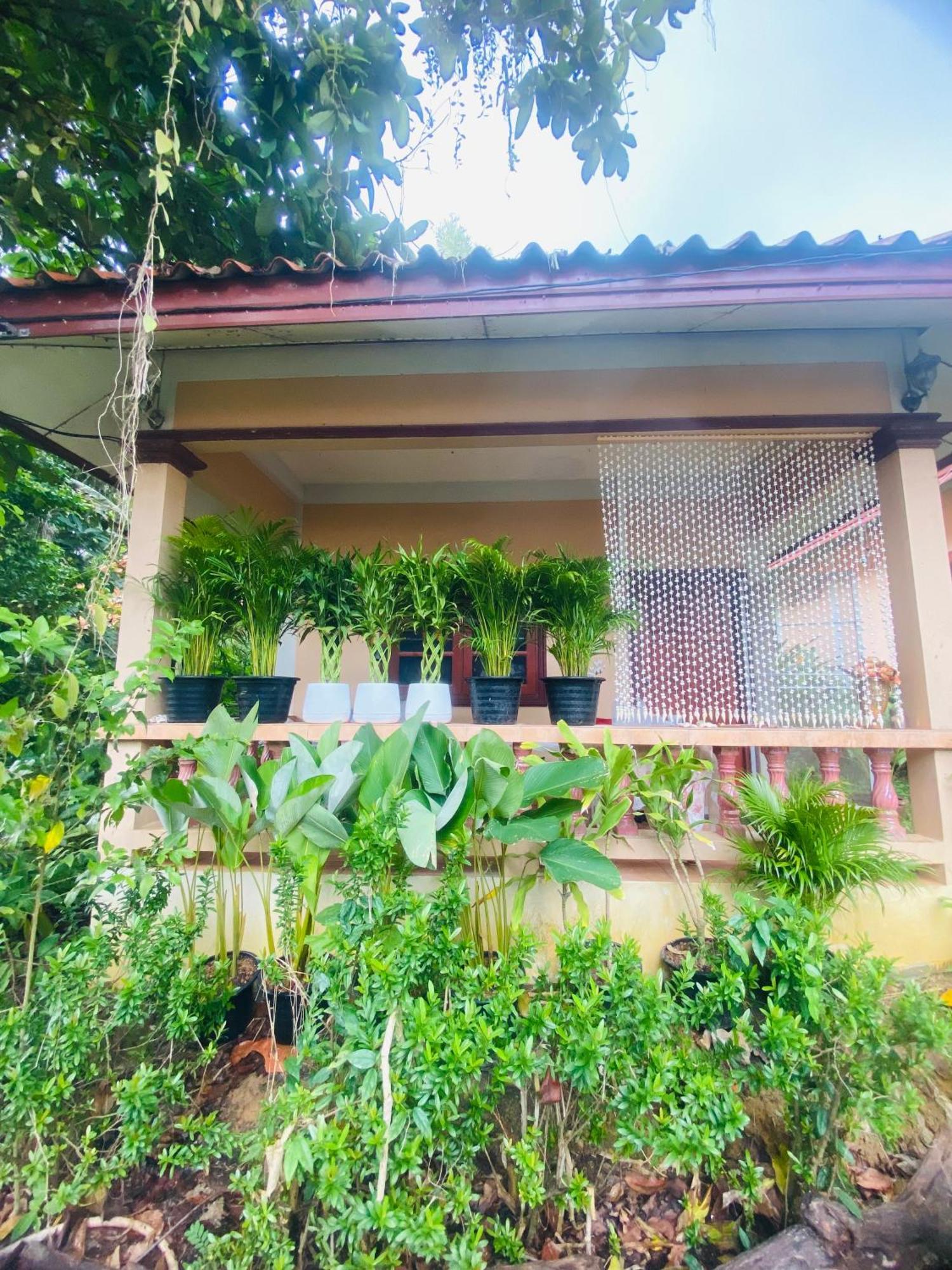 Rose Bungalow At Ya Nui Beach Villa Nai Harn Exterior photo